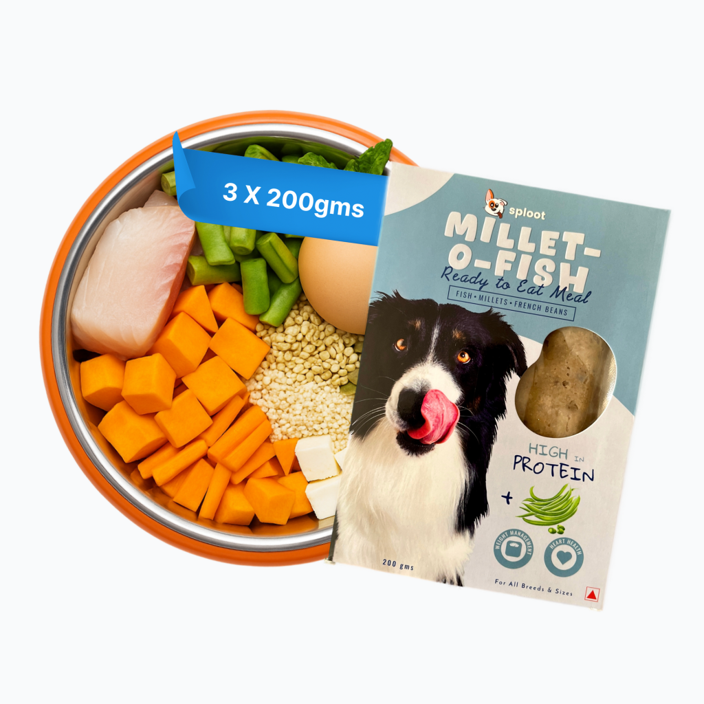What is Millet in Dog Food