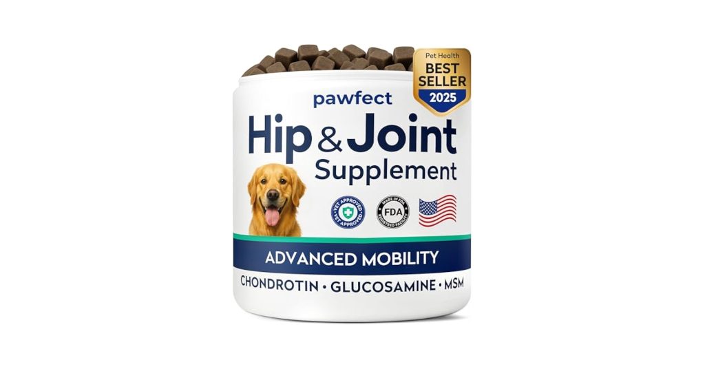 What is Msm in Dog Supplements