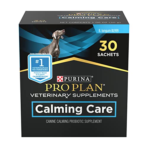 What is the Best Calming Supplement for Dogs