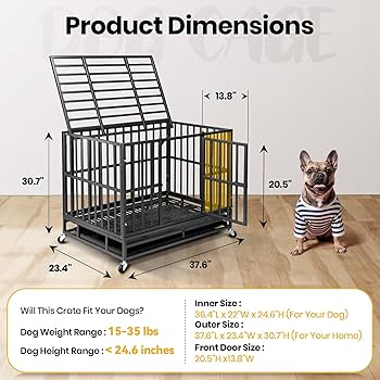 What Size Crate for a 15 Lb Dog