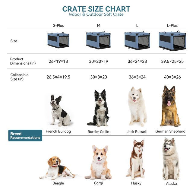 What Size Crate for a Medium Dog