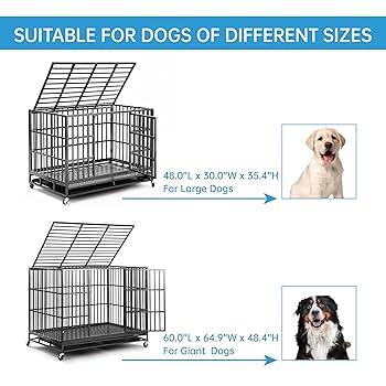 What Size Dog Crate for 60 Lb Dog