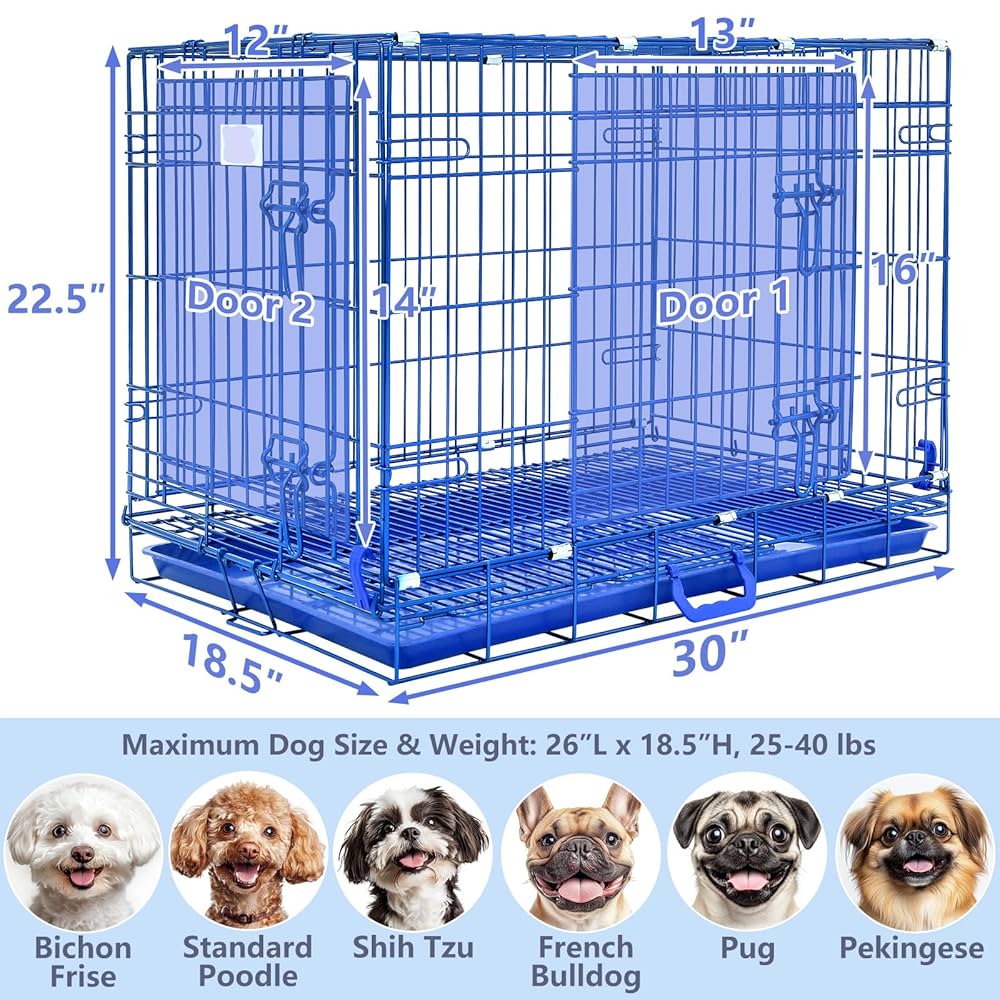 What Size Dog Crate for Shih Tzu