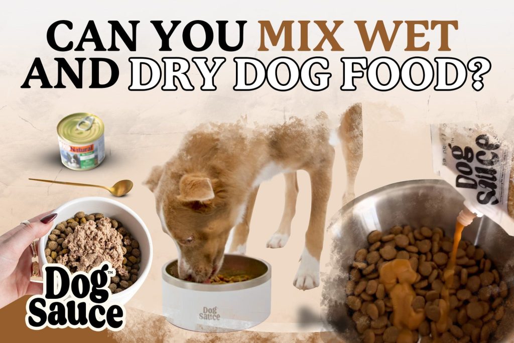 What to Mix With Dog Dry Food