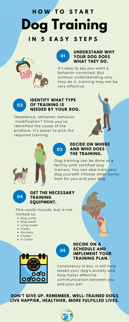 What to Train Your Dog
