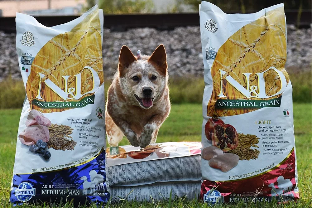 Where is Farmina Dog Food Made