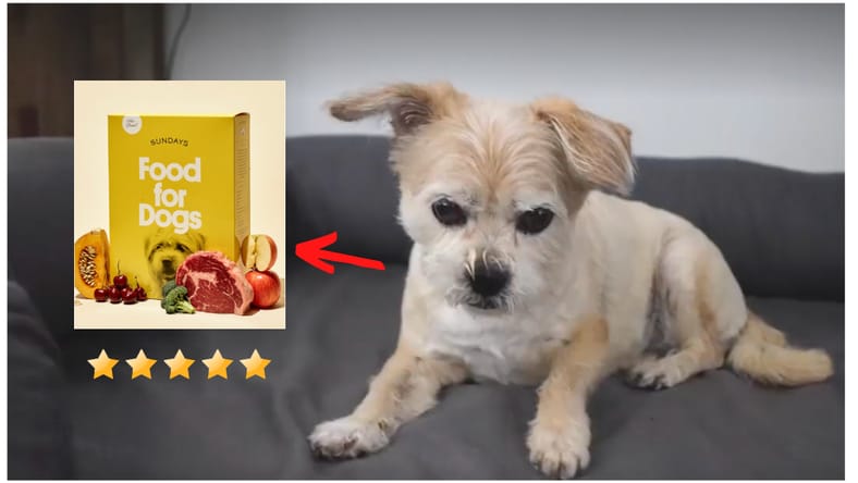 Where is Sundays Dog Food Made