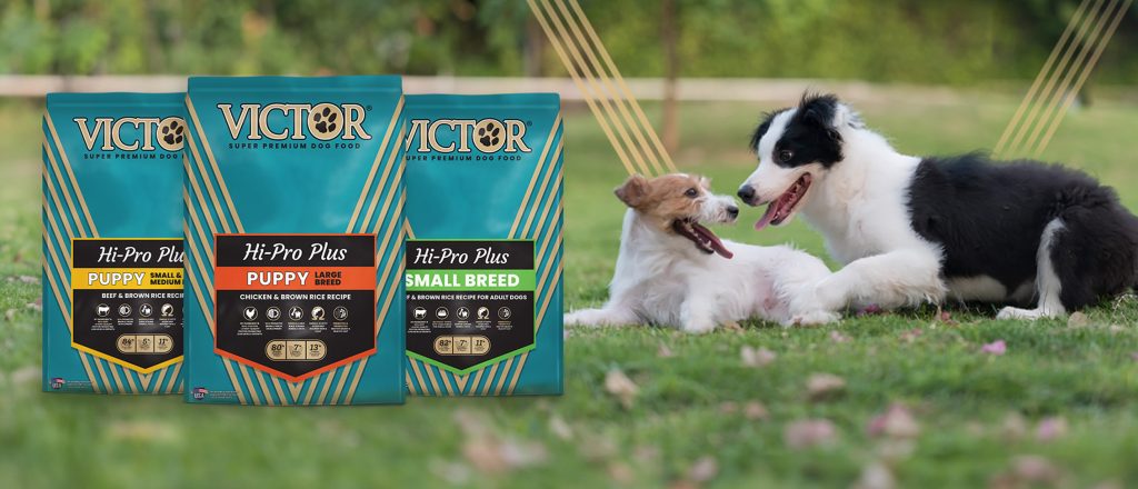 Where is Victor Dog Food Made