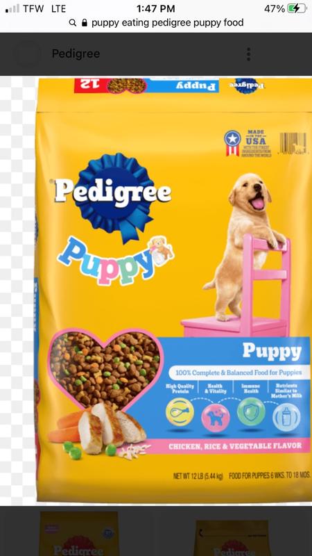 Where Pedigree Dog Food is Made