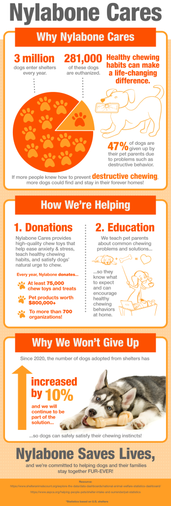 Where to Donate Used Dog Toys