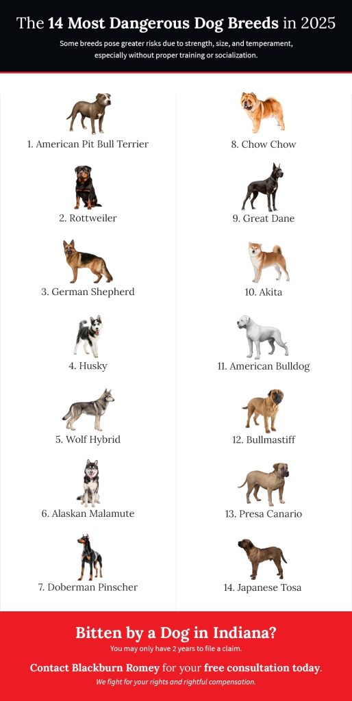 Which Dog Breeds Bite the Most
