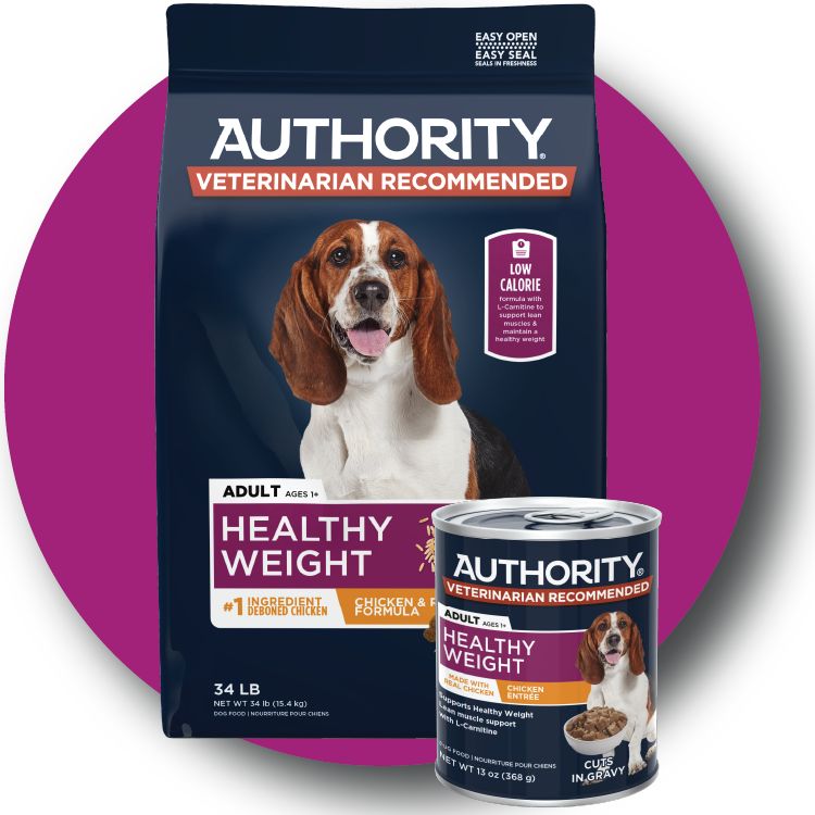 Who Makes Authority Dog Food