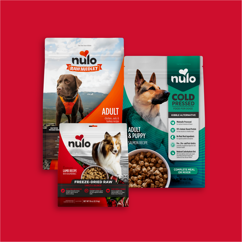 Who Owns Nulo Dog Food