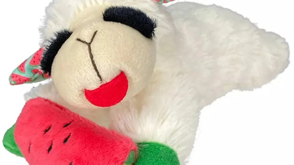 Why is Lambchop a Popular Dog Toy