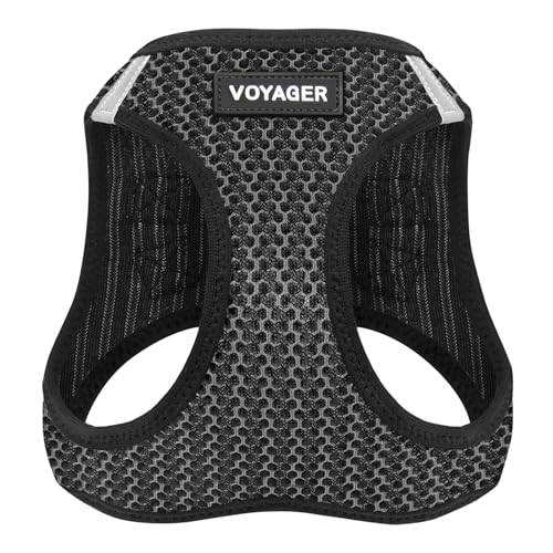 Wirecutter Best Dog Harness